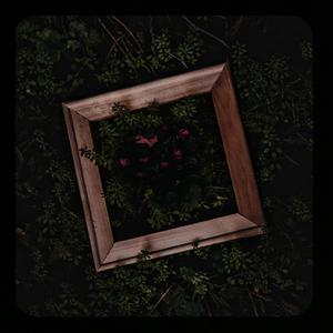 久久网日韩中文字幕
