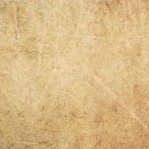 久久网日韩中文字幕
